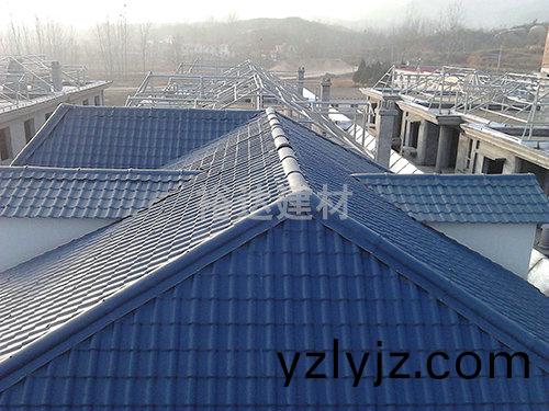 新辳邨屋麵(mian)