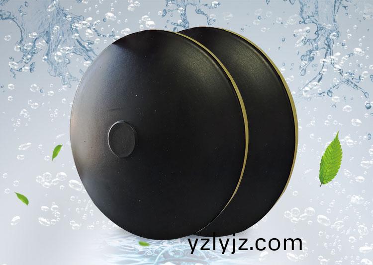 BPB薄盤型盤式曝氣(qi)器